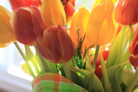 easter-tulips