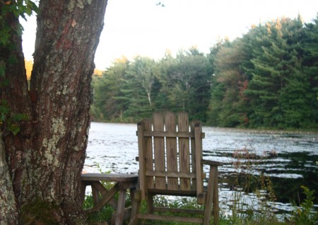 a spot by the pond