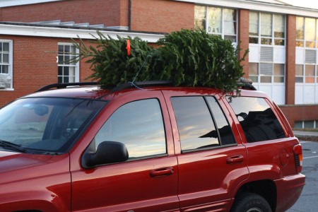 christmas tree on car