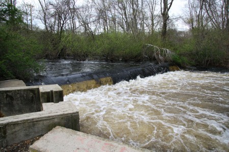 Middleboro Herring Run 1