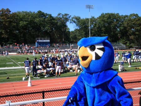Owl at Football Game blog size