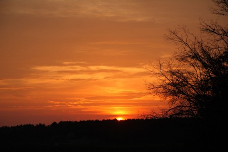 Sunset On A Cranberry Bog blog size