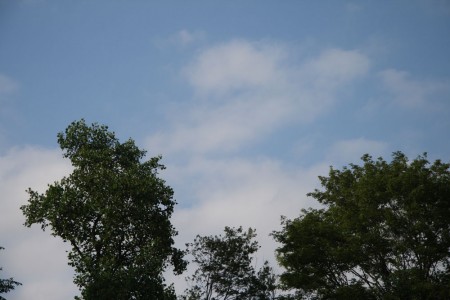 blue sky blog size