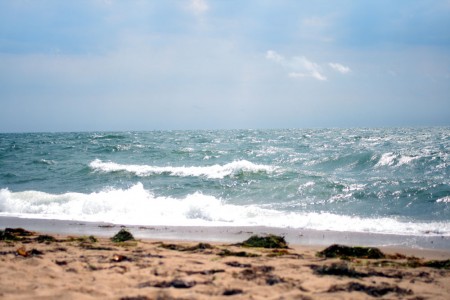 big surf blog size