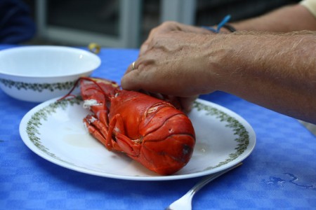 lobster