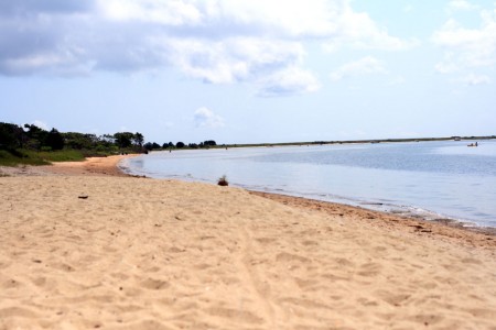 waquoit bay blog size
