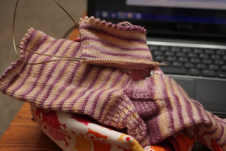 roommate socks