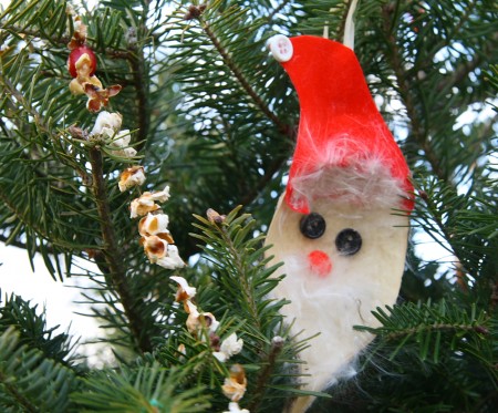 milkweed santa