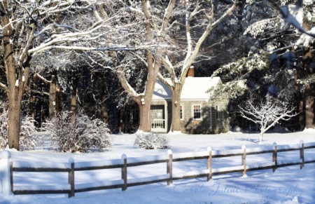mrs perkins shed snow blog size