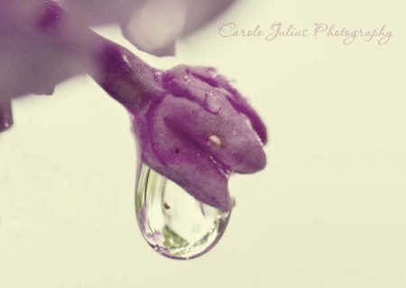 5_01_2012 blog size