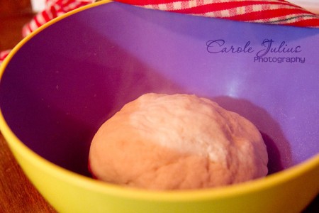 potsticker dough for carole knits