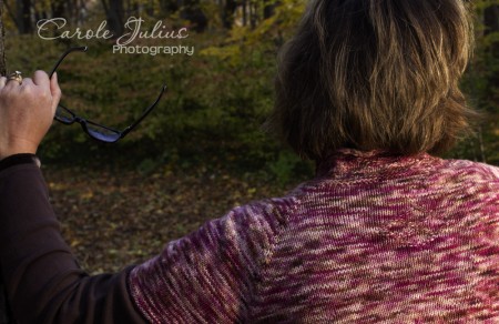 rhombi sweater back detail for carole knits