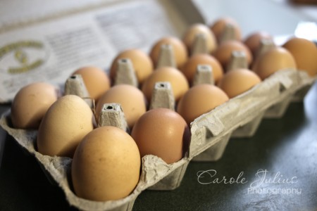 eggs for carole knits