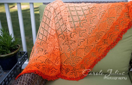 shawl 1 for carole knits