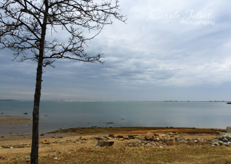 plymouth harbor april 2015 for carole knits