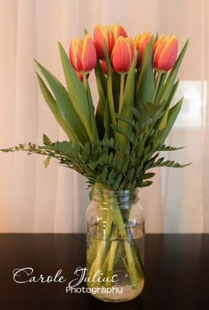 tulips in mason jar for carole knits