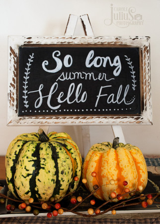 so long summer sign for carole knits