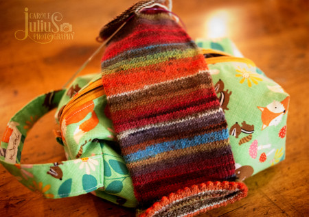 striped socks for carole knits