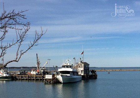 plymouth harbor march 2016 for carole knits