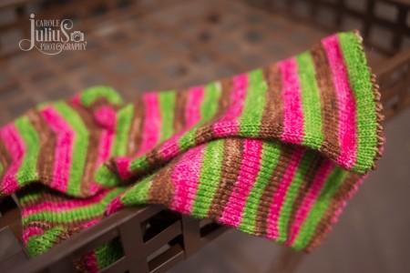 wildwood socks 3 for carole knits
