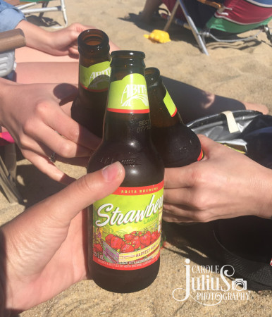 abita strawberry on the beach for carole knits