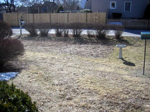 front_view_left.jpg