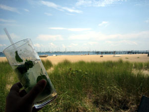 mojito.jpg