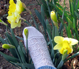 socks_daffodils.jpg
