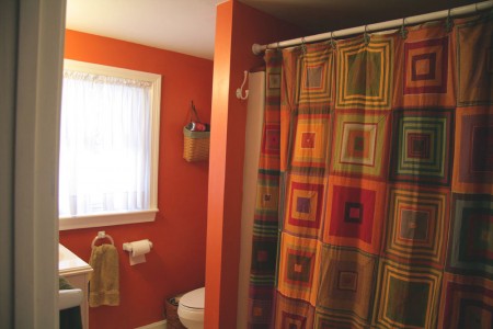 shower-curtain1
