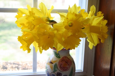 Vase of Daffodils resized for blog