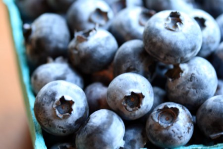 Blueberries! blog size