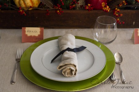 thankgiving place setting for carole knits