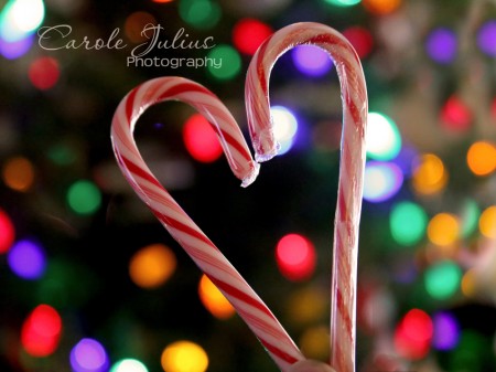 candy cane love for carole knits