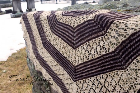 germinate shawl 3 for carole knits