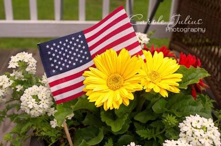 memorial day flowers for carole knits