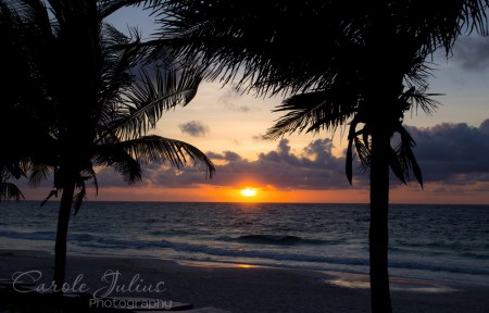 sunrise in tulum with palm trees for carole knits