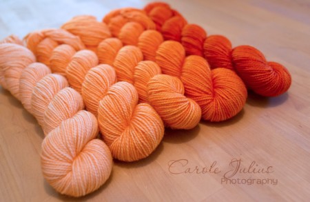 mystery shawl skeins persimmon for carole knits