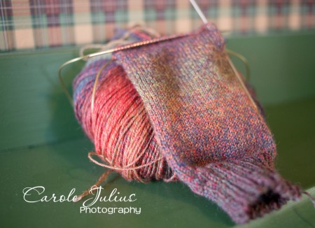 painted desert sock for carole knits