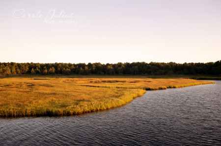 waquoit marsh golden hour for carole knits