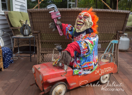 clown car for carole knits