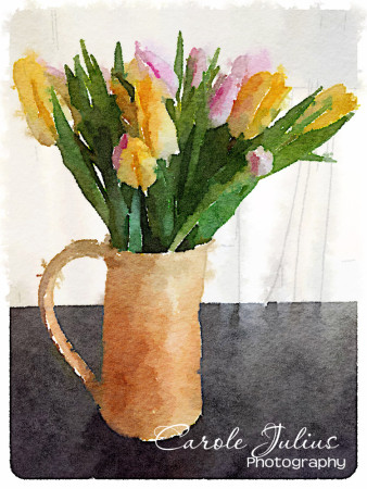 watercolor tulips for carole knits