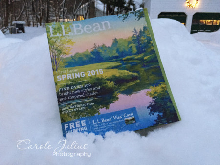 bean spring catalog for carole knits