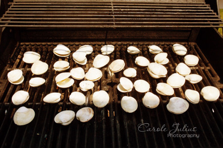 clams on the grill for carole knits