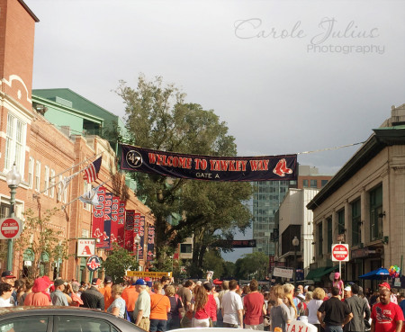 yawkey way for carole knits