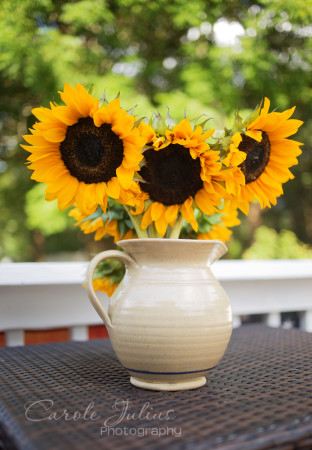 sunflowers in pitcher for carole knits