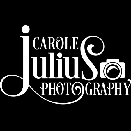 cjp logo for carole knits