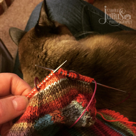 mason and sock knitting for carole knits