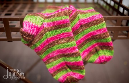 wildwood socks 2 for carole knits