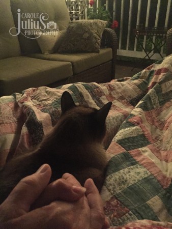 holding hands and mason for carole knits