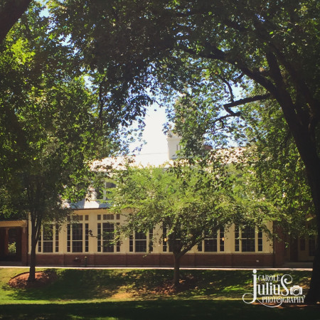 emerson dining hall for carole knits